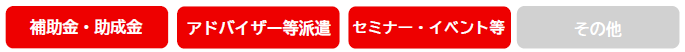 支援内容(補助金・助成金、アドバイザー等派遣、セミナー・イベント等)