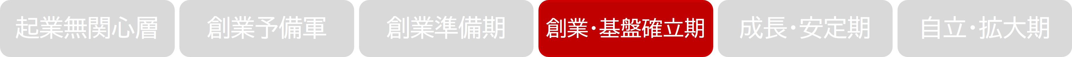 成長フェーズ（地域課題解決ビジネス支援事業）