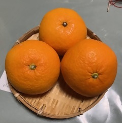 ベニアマナツ