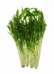 水菜