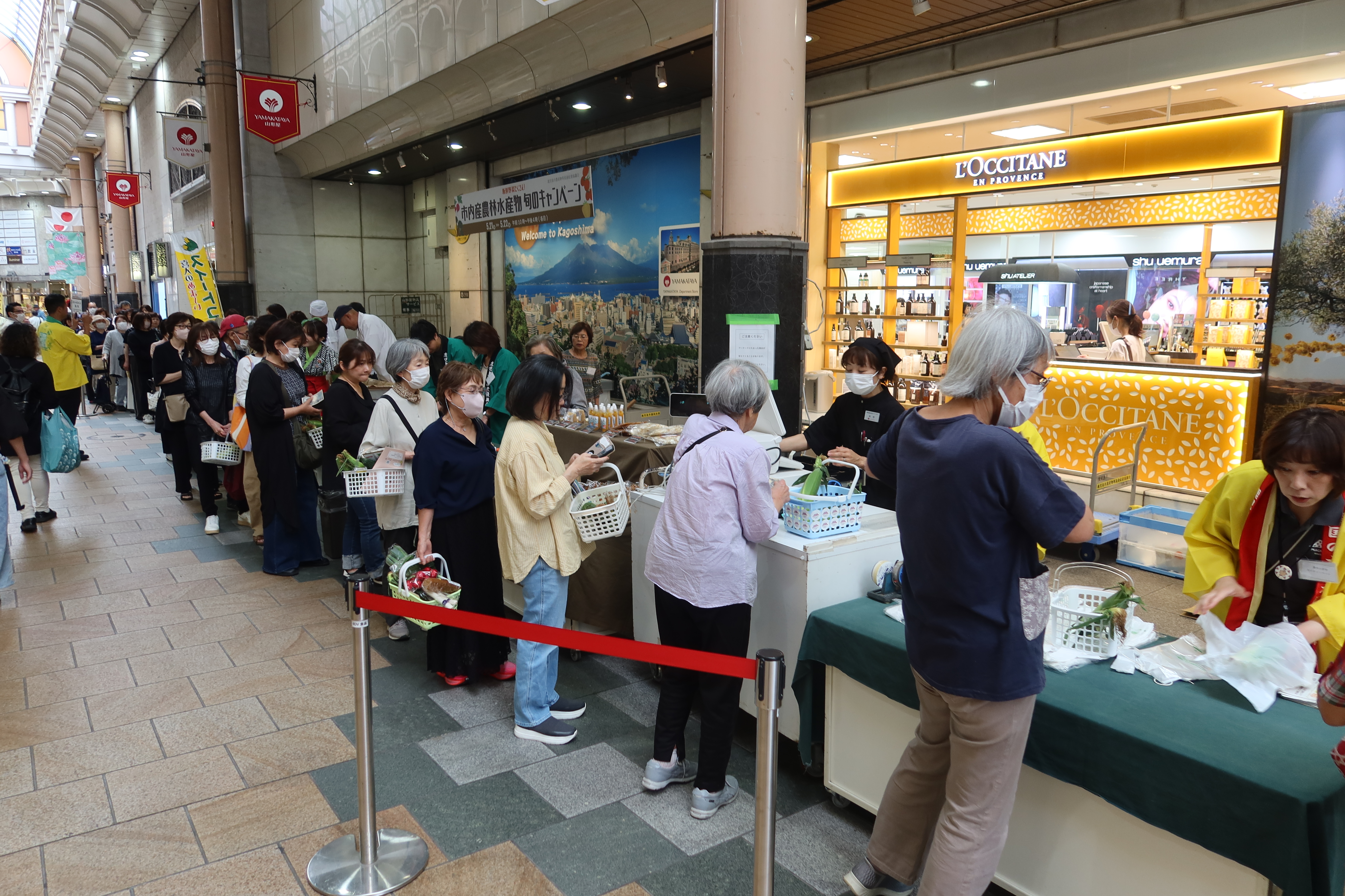 5月旬キャン