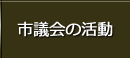 市議会の活動