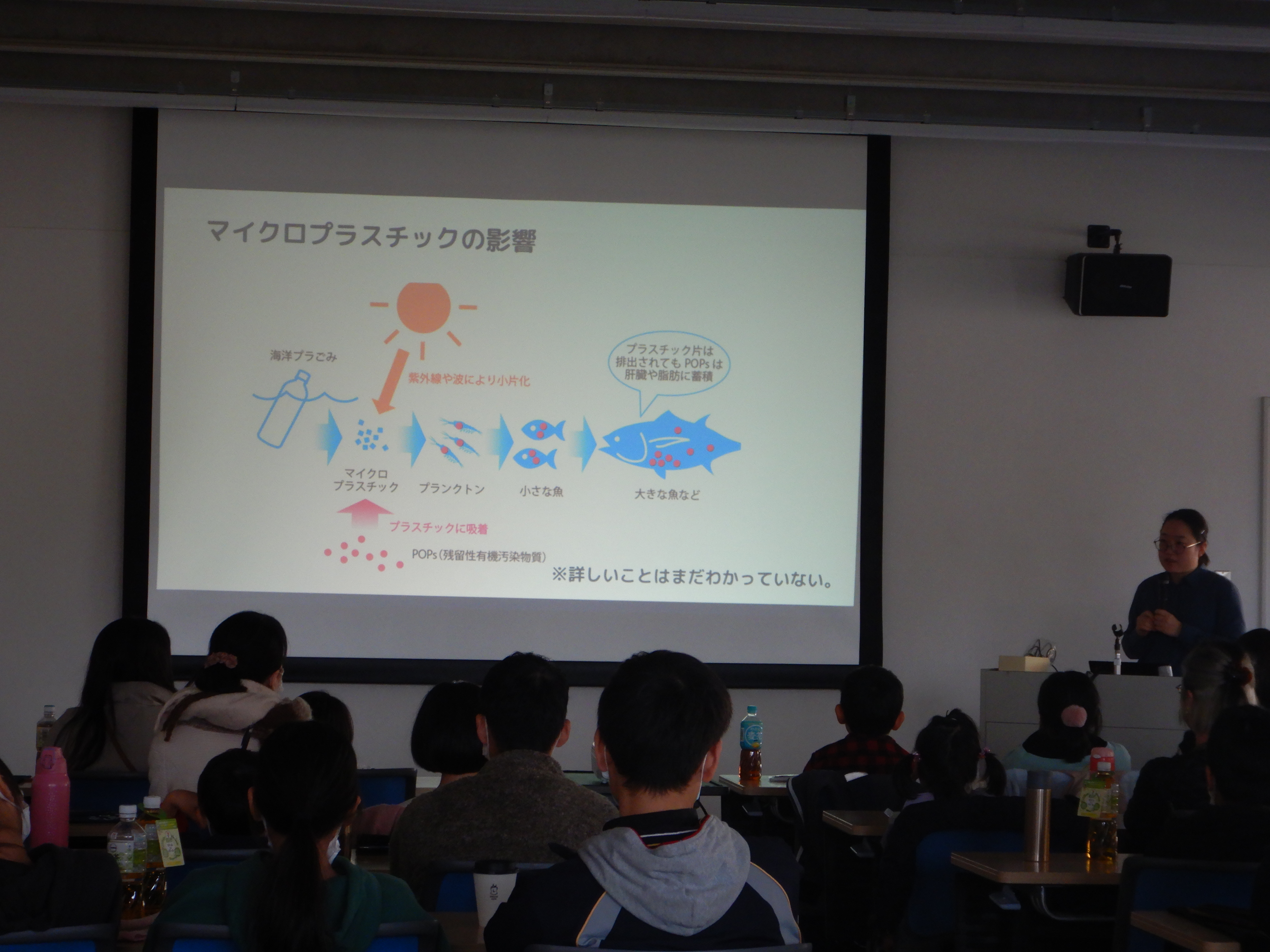 海ごみc