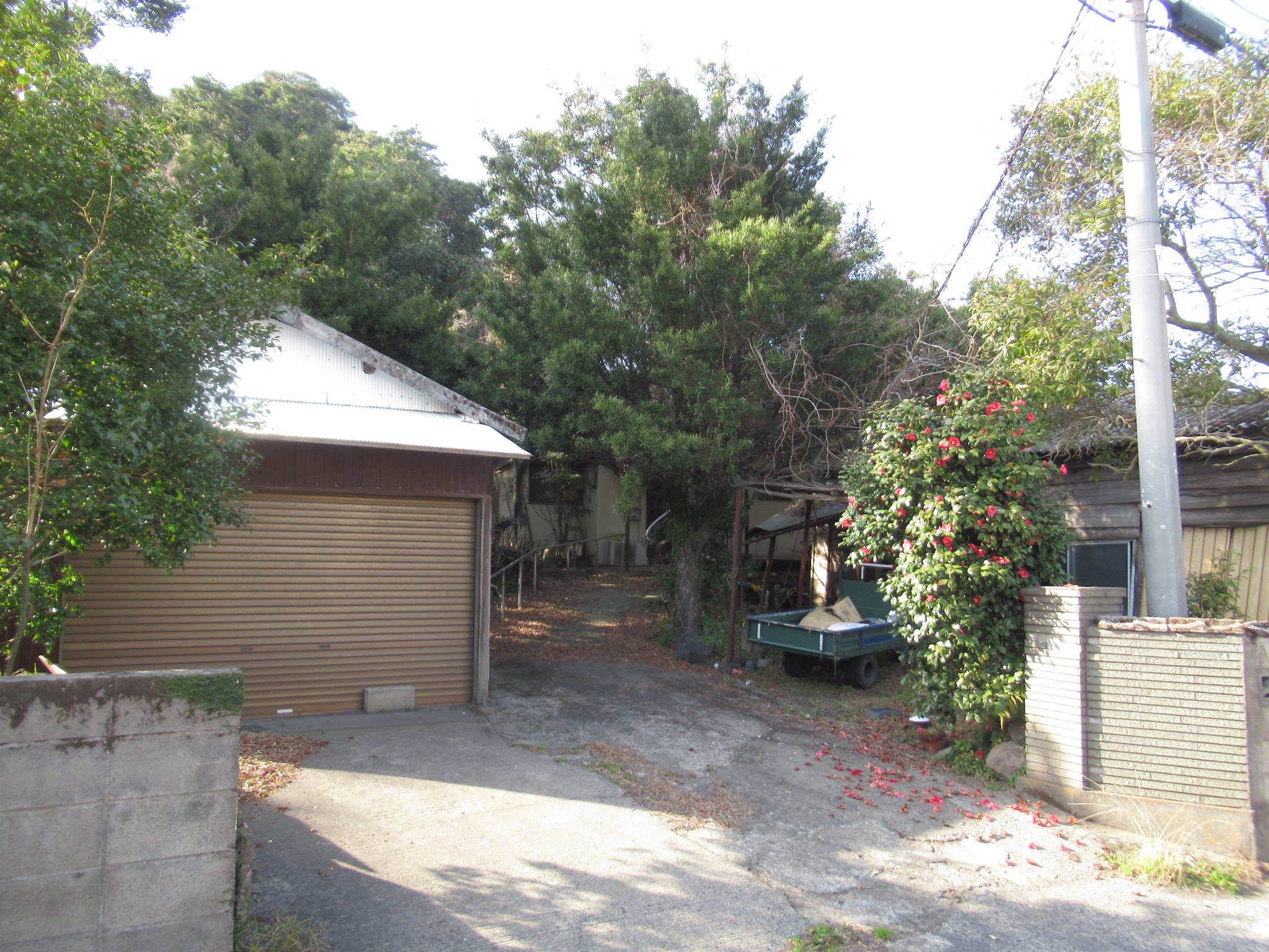 桜島横山町空き家