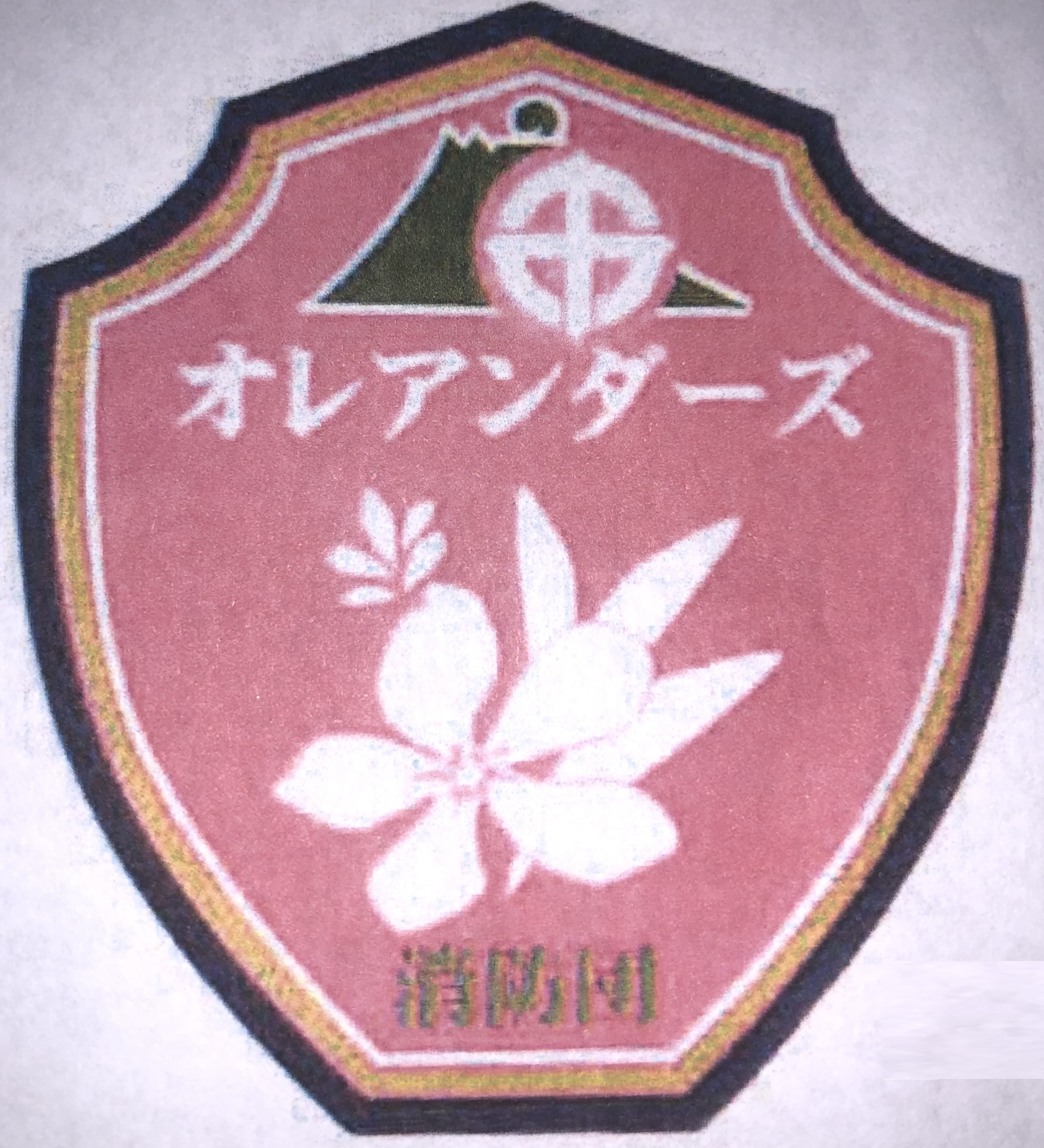 エンブレム女性分団
