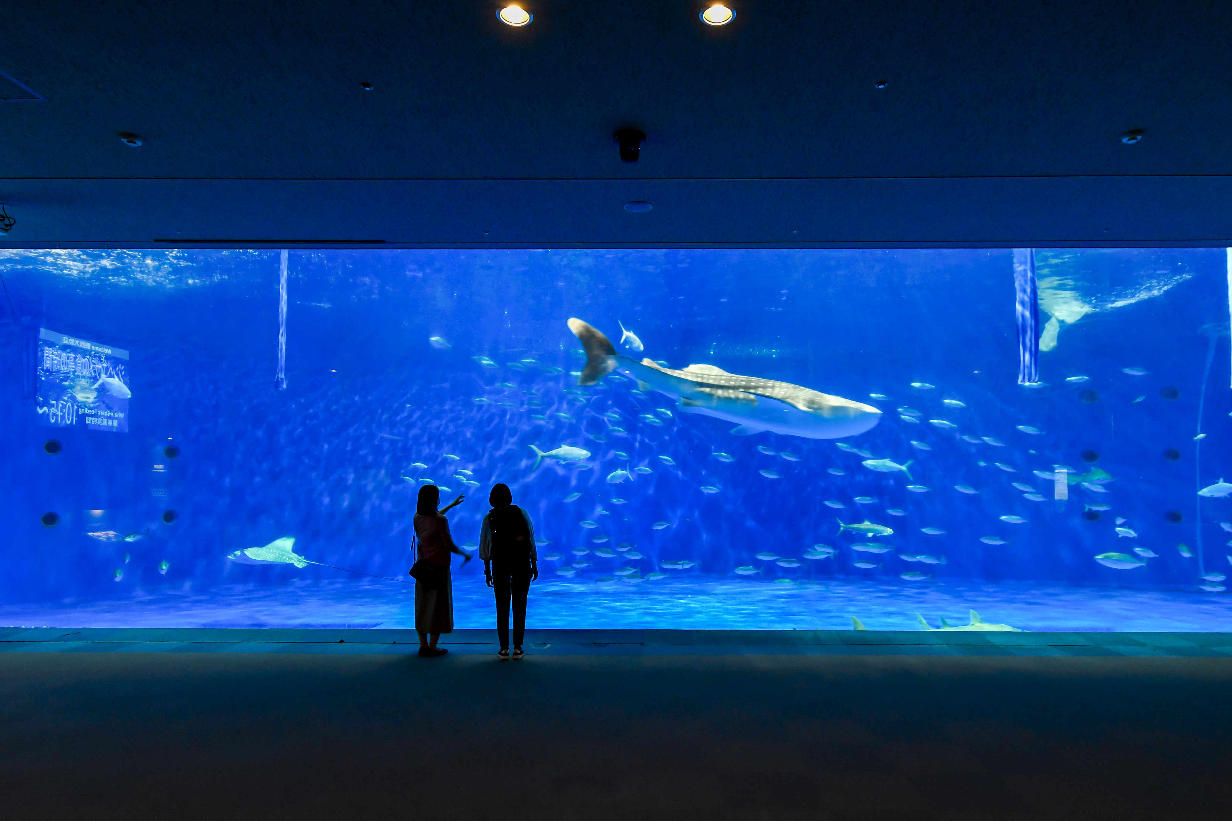 水族館