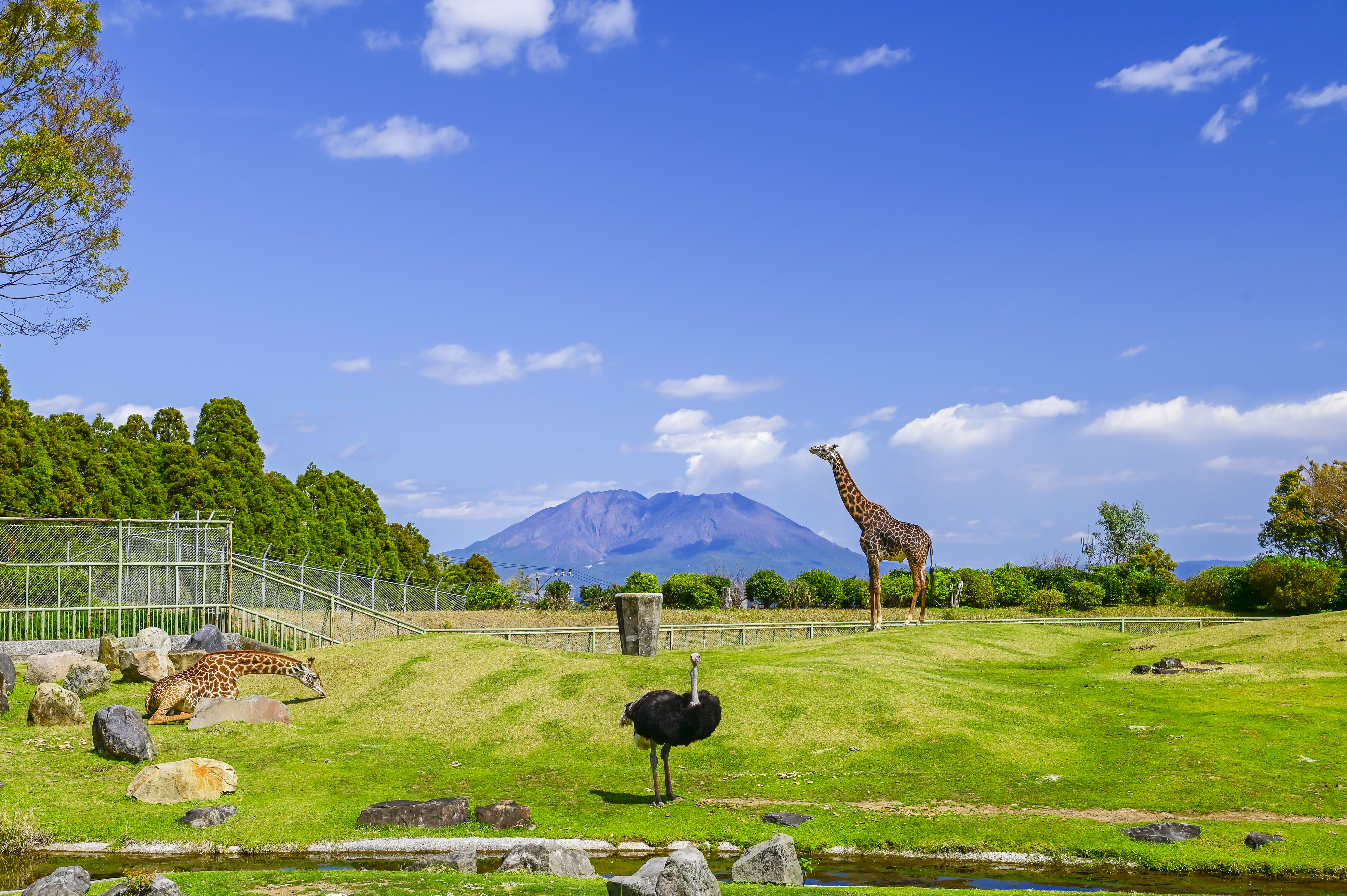 動物園