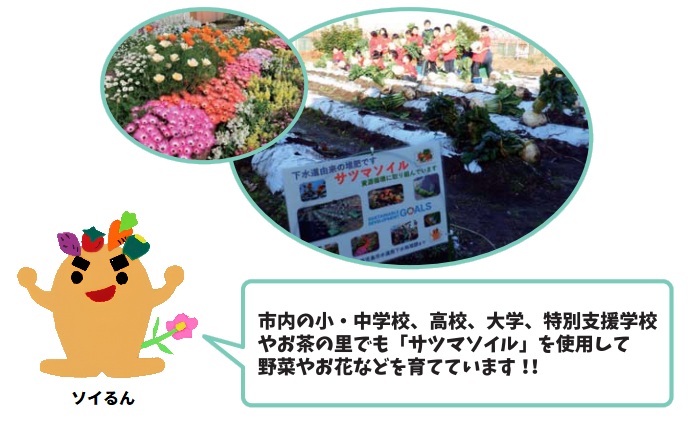 サツマソイルの紹介