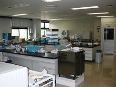 バイオ実験室